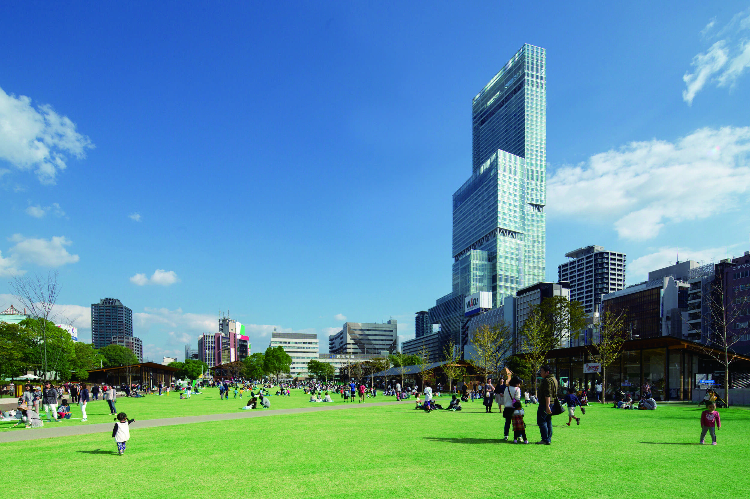 🌳 덴노지 잔디밭 (텐시바) 이미지 1